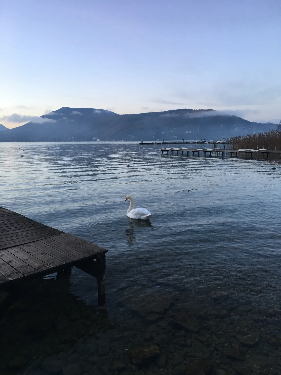 Ponton shooting photo