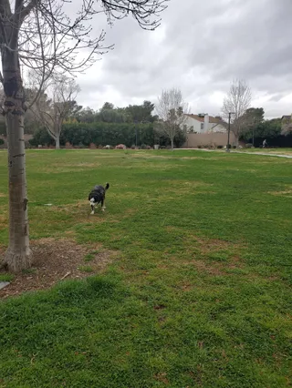 Bob Baskin Park