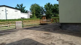 Alpaki z Zielonych Traw