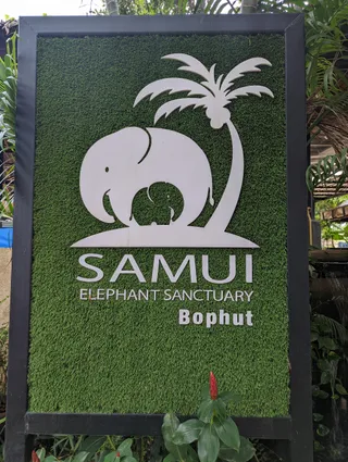 Samui Elephant Sanctuary Bophut