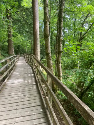 Ty'n Llwyn Walking Trail