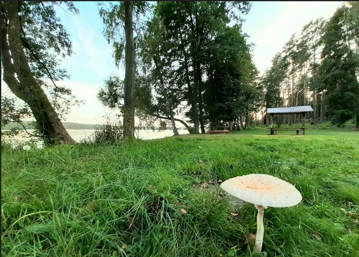 DługaPolanka - CampSite