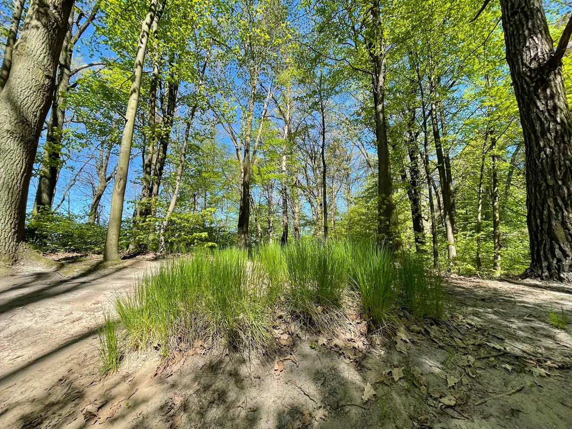 Park Linowy Nad Zalewem Zemborzyckim