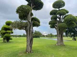 Panya Indra Golf Club