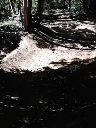 Maidstone Trails