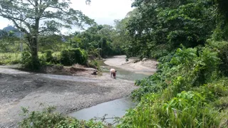 Maimon centro