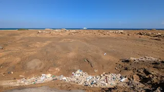 Coral reef