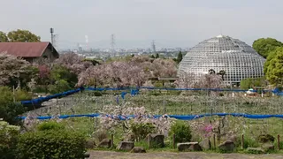 Togokusan Fruits Park