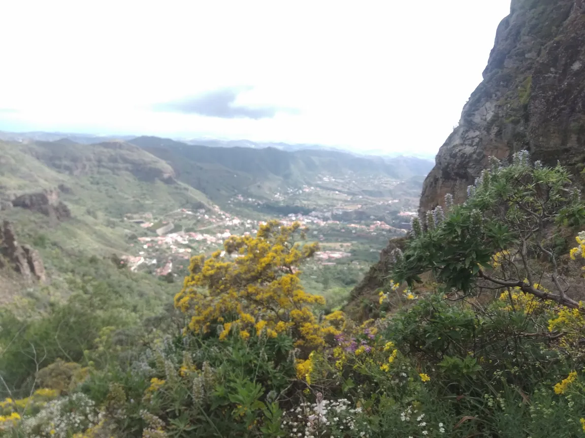 La 365 Trail
