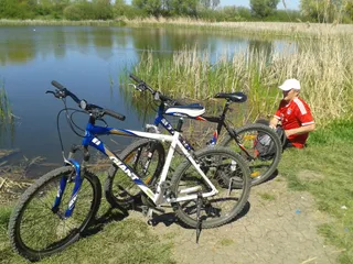 Walking & Bicycle Tours Timişoara