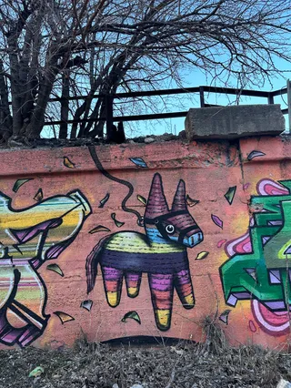 16th St Murals (Westside - S Wood to S Canal)