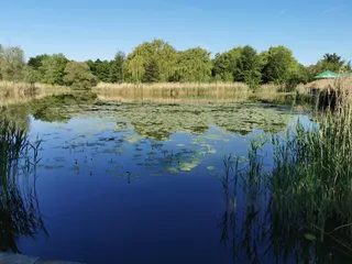 Ziegeleipark Böckingen