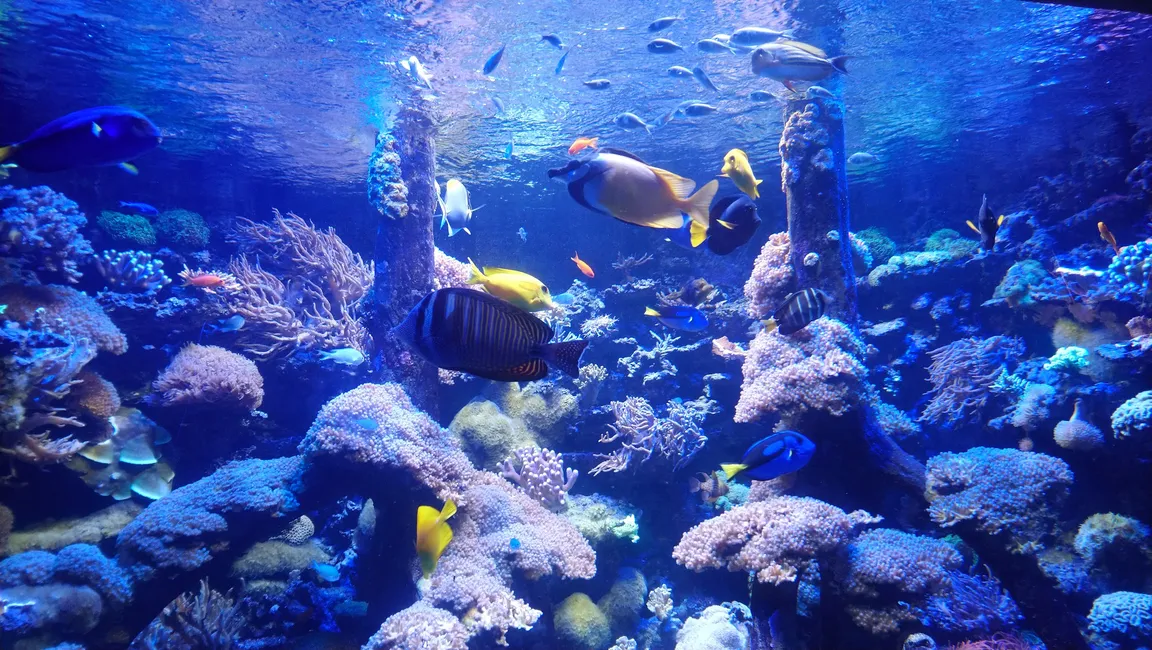 Miejski Ogród Zoologiczny im. Antoniny i Jana Żabińskich w Warszawie