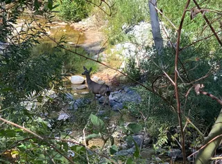 Oakwilde Campground