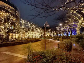 Midtown Garden