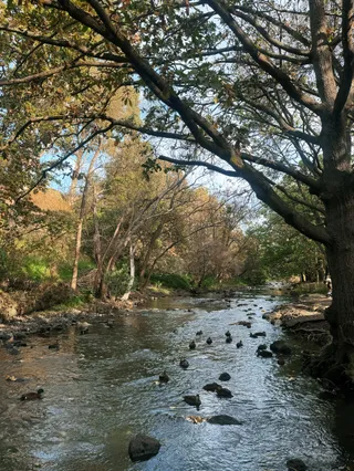 Merri Creek Trail
