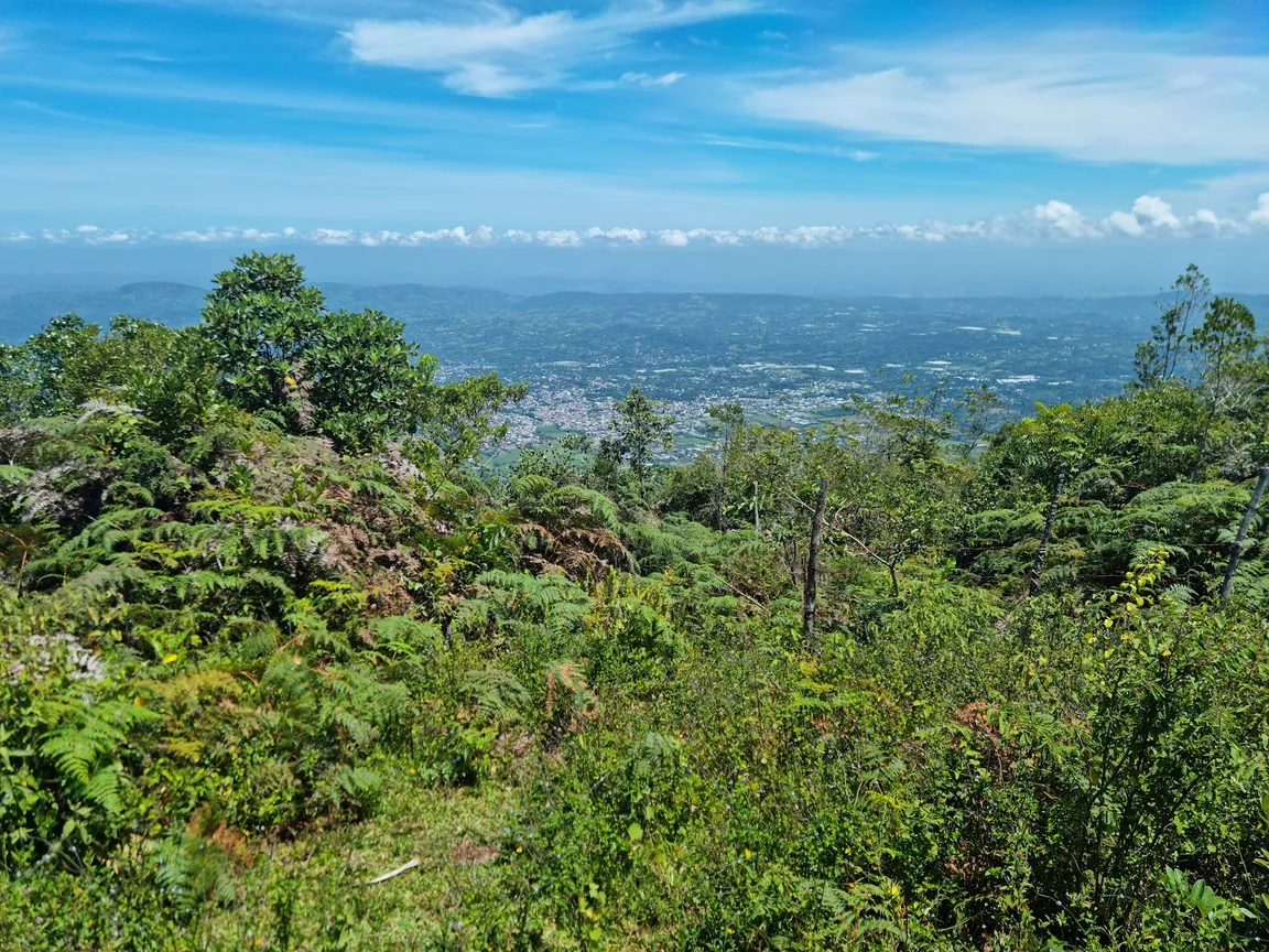 Montaña Mogote