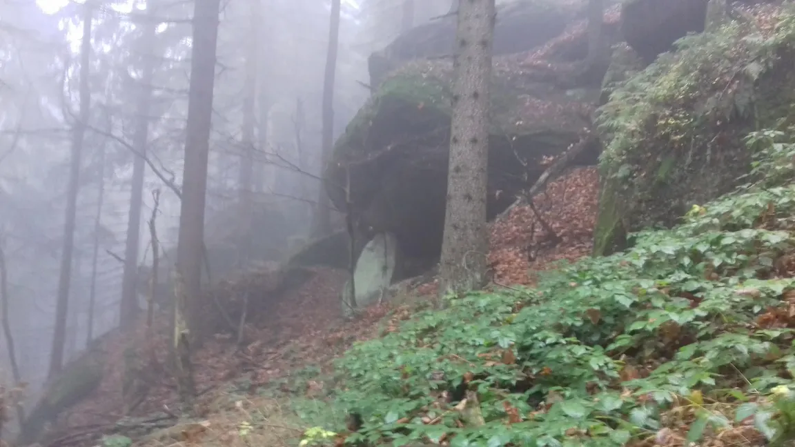 Kočka