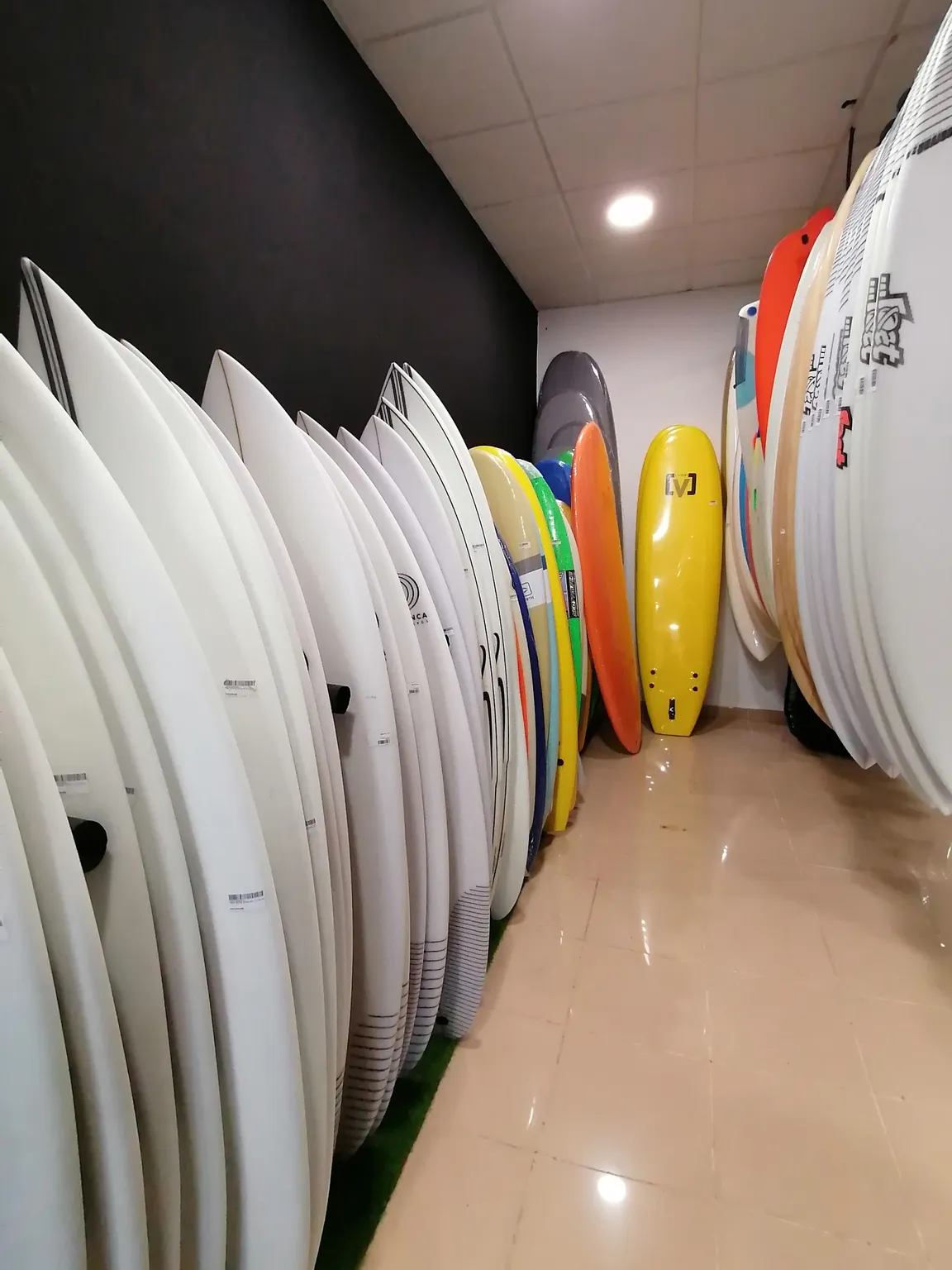 Protest Surfcenter