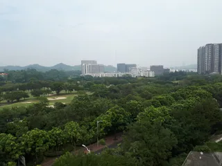Safari Park Shenzhen Birds Paradise