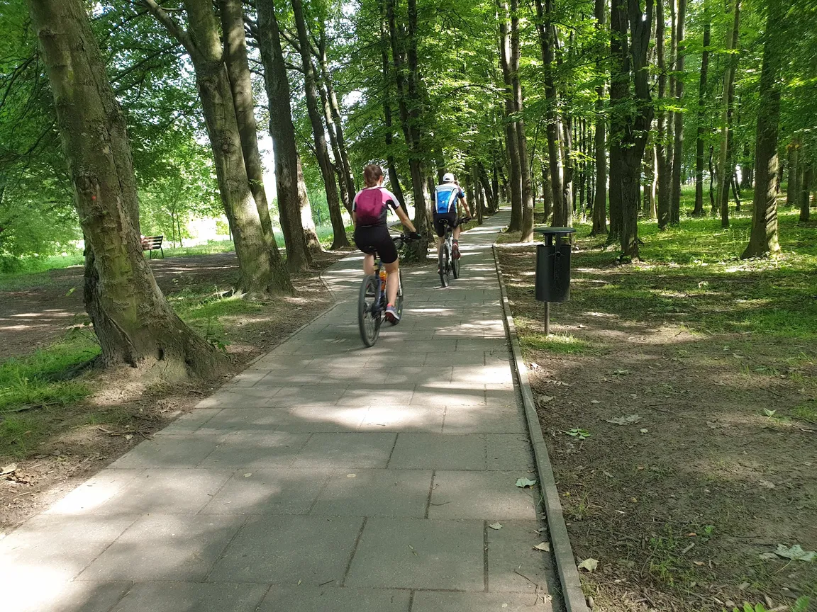 Zalesiona ścieżka spacerowo - biegowo - rowerowa