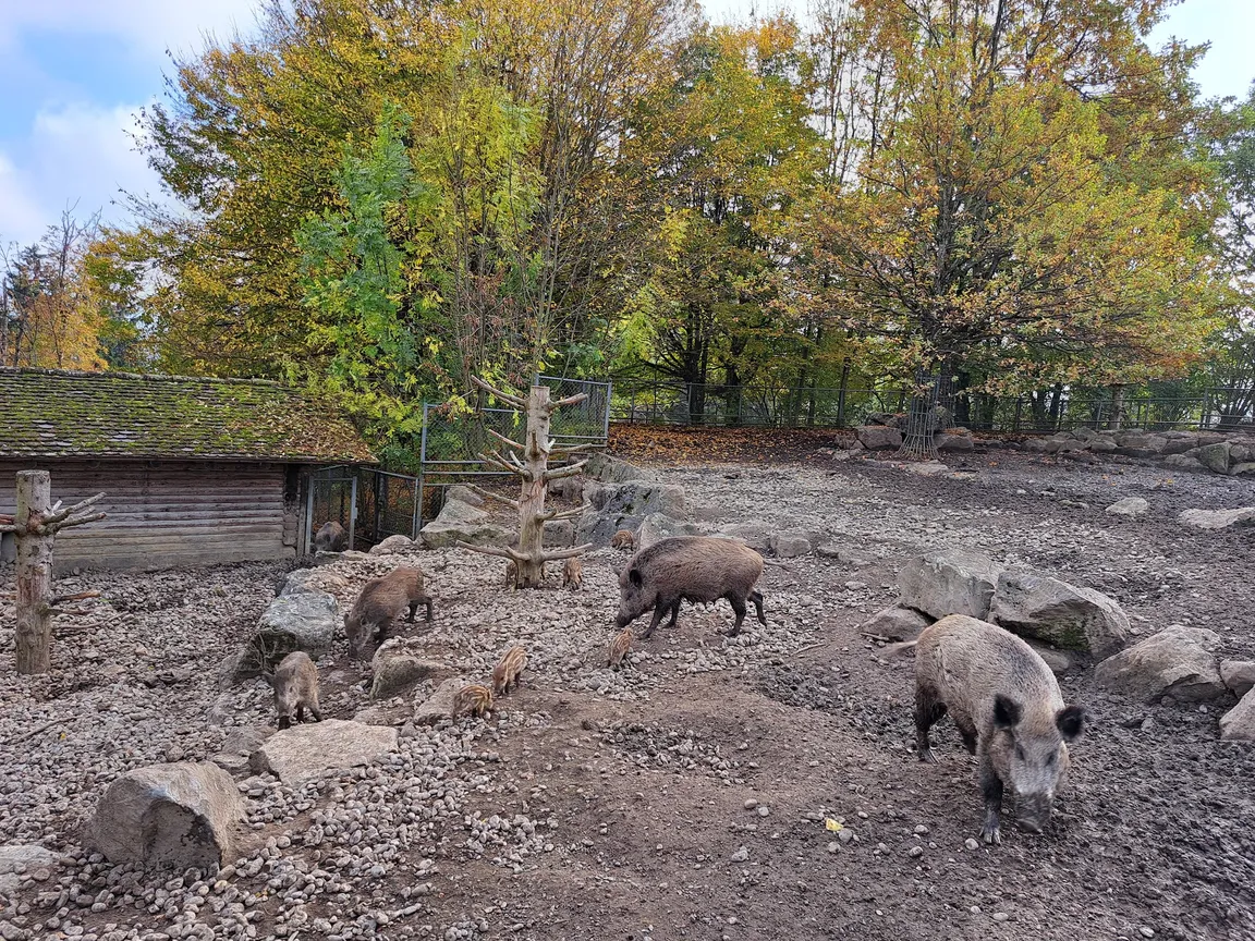 Wildpark Peter und Paul