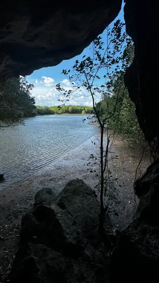 Small bats cave