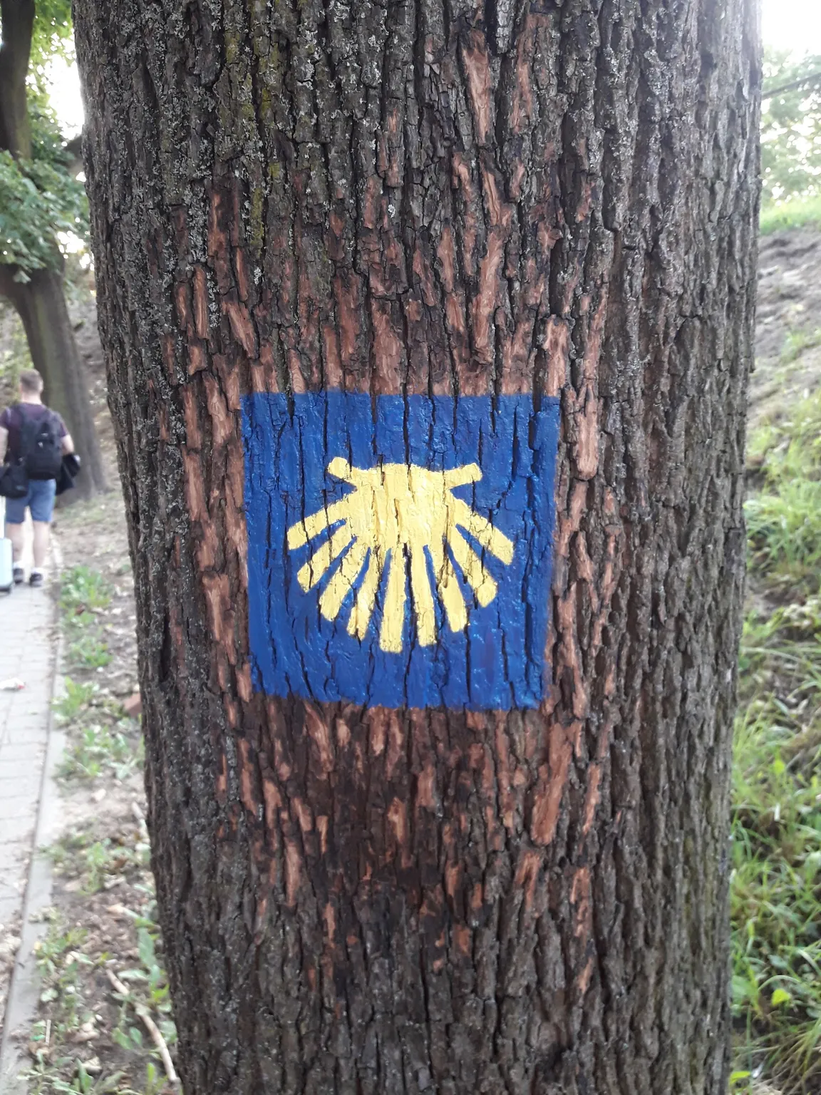 Szlak św Jakuba