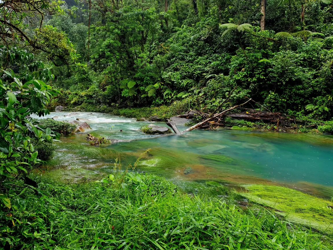 Parque Nacional Volcán Tenorio