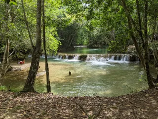 SAlto Alto