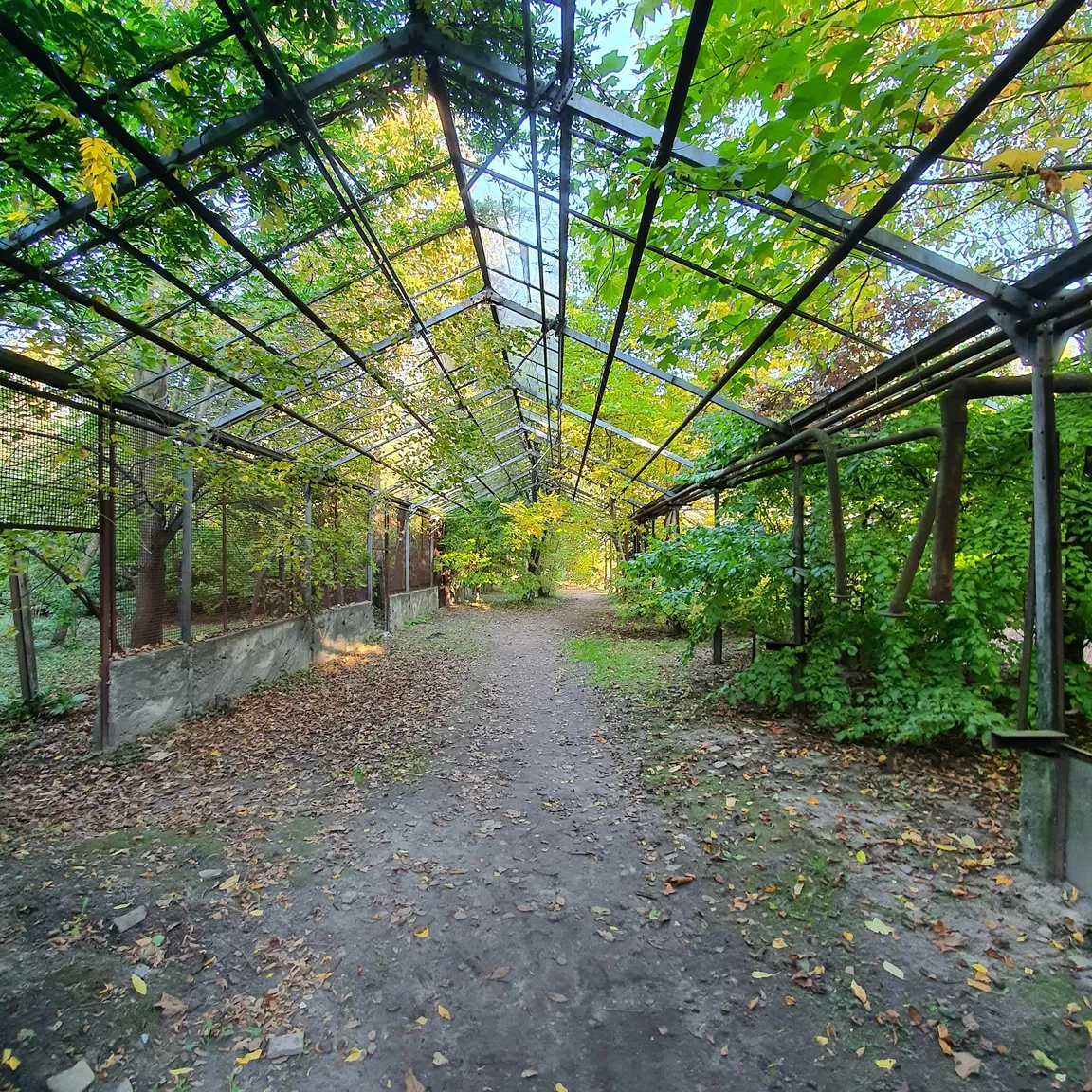 Syretsʹkyy Dendrolohichnyy Park