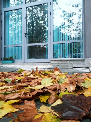 Кинези Квантум