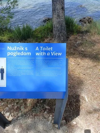 Toilet with a view
