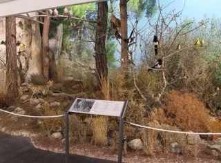 Episkopi Environmental Information Centre