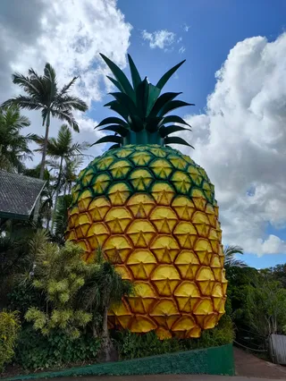 TreeTop Challenge Big Pineapple - Australia's Highest Adventure Park