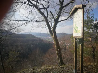 Mühlkoppe