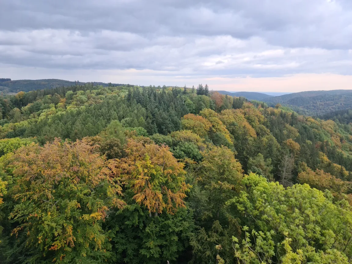Zamek Grodno
