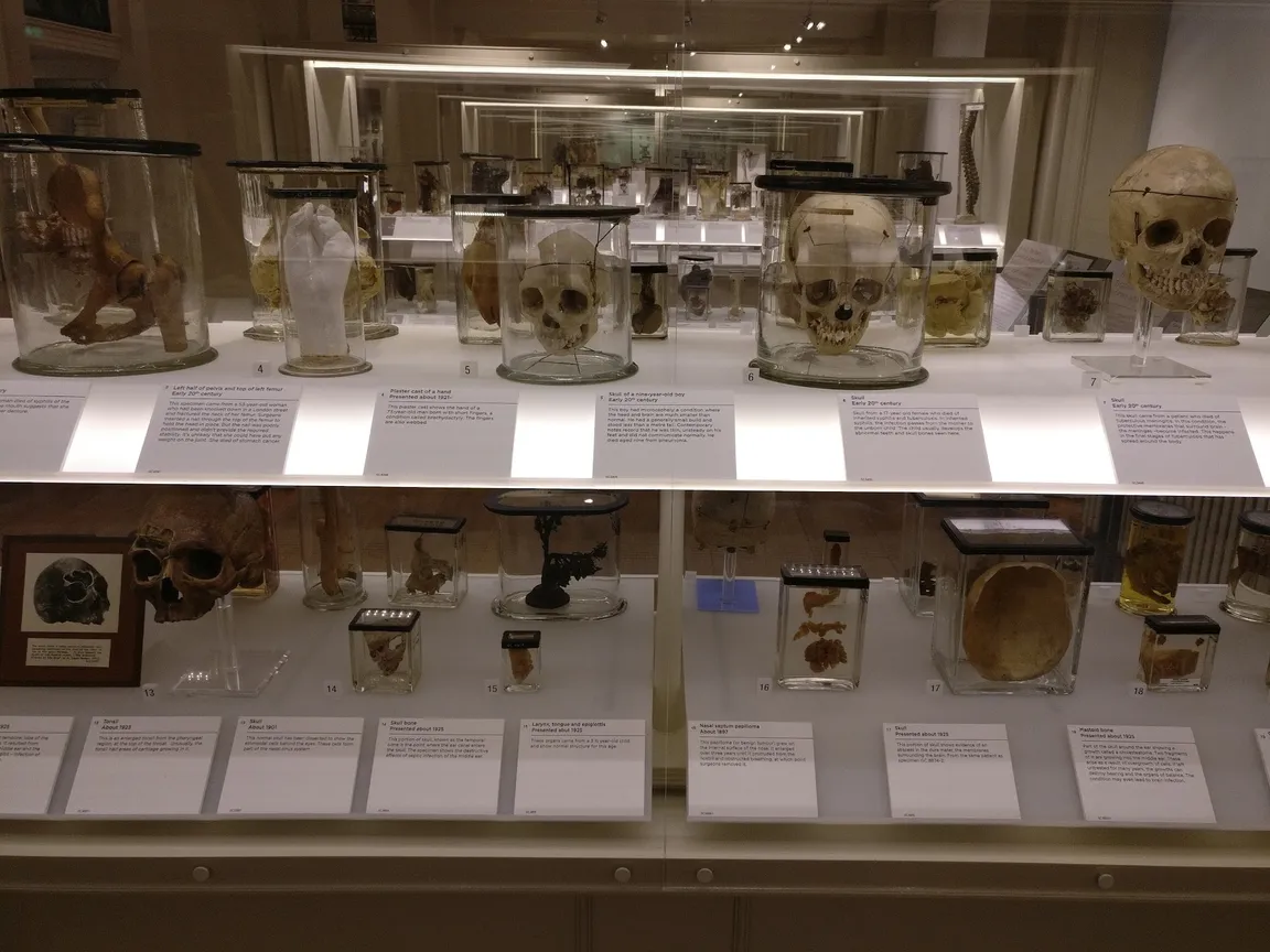 Surgeons' Hall Museums