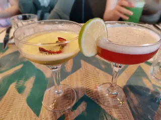 Turtle Bay Winchester