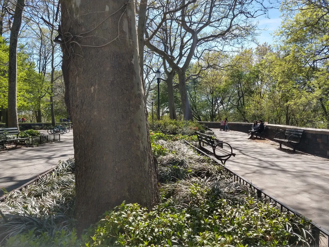 Millennium Skate Park