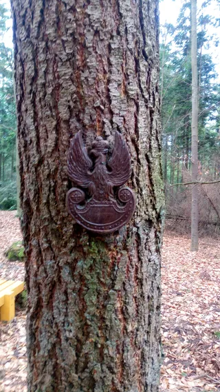 Mogiła Junaka i Kokoszki