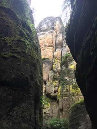 Adršpašskoteplické skály