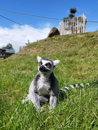 Peak Wildlife Park