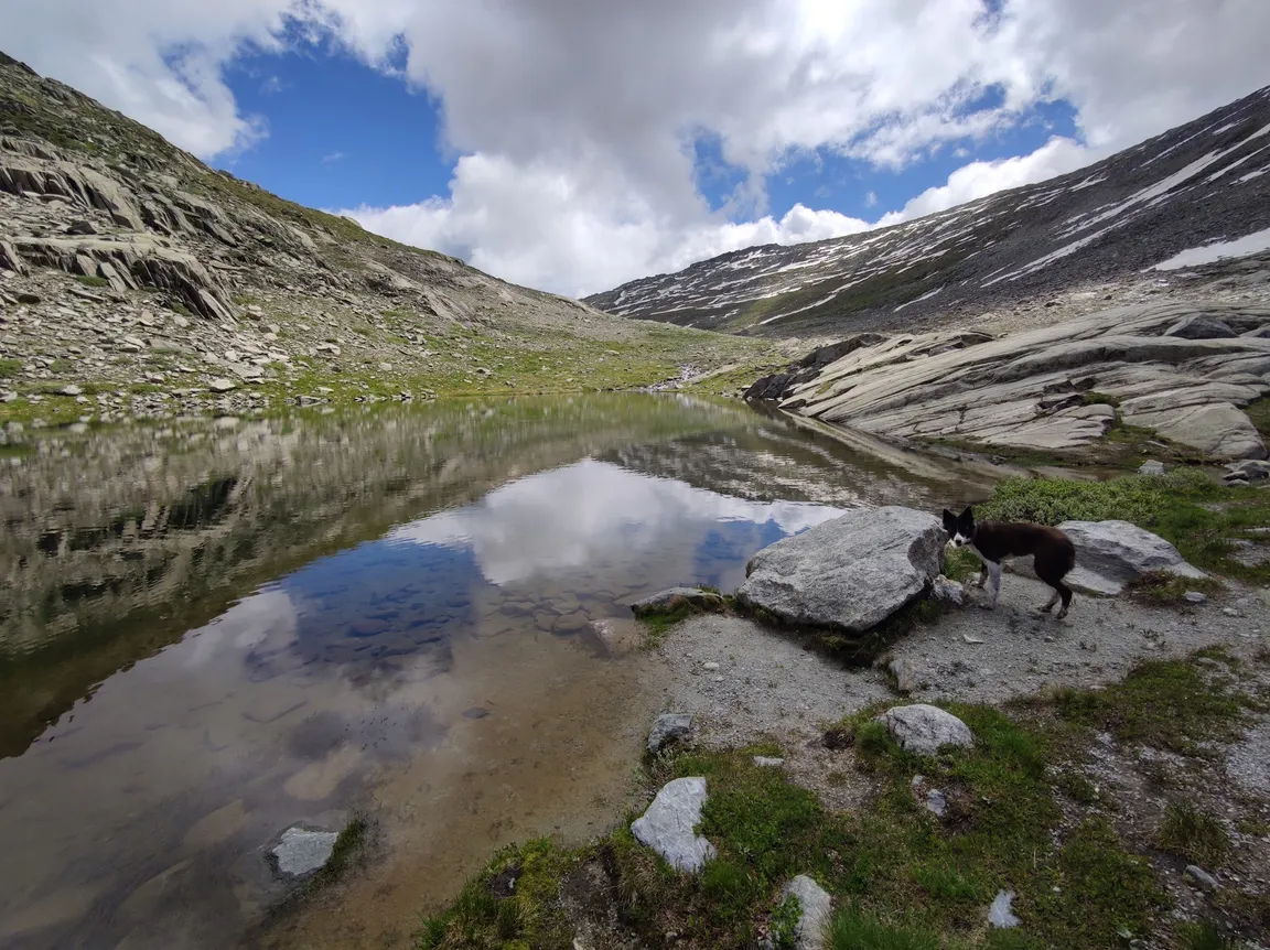 Jungfrau-Aletsch-Bietschhorn