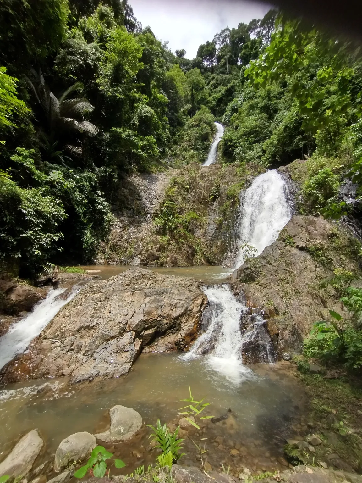 Khao Phanom Bencha National Park