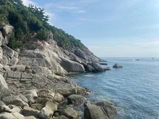 Blue's View