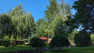 Spreewald Biosphere Reserve