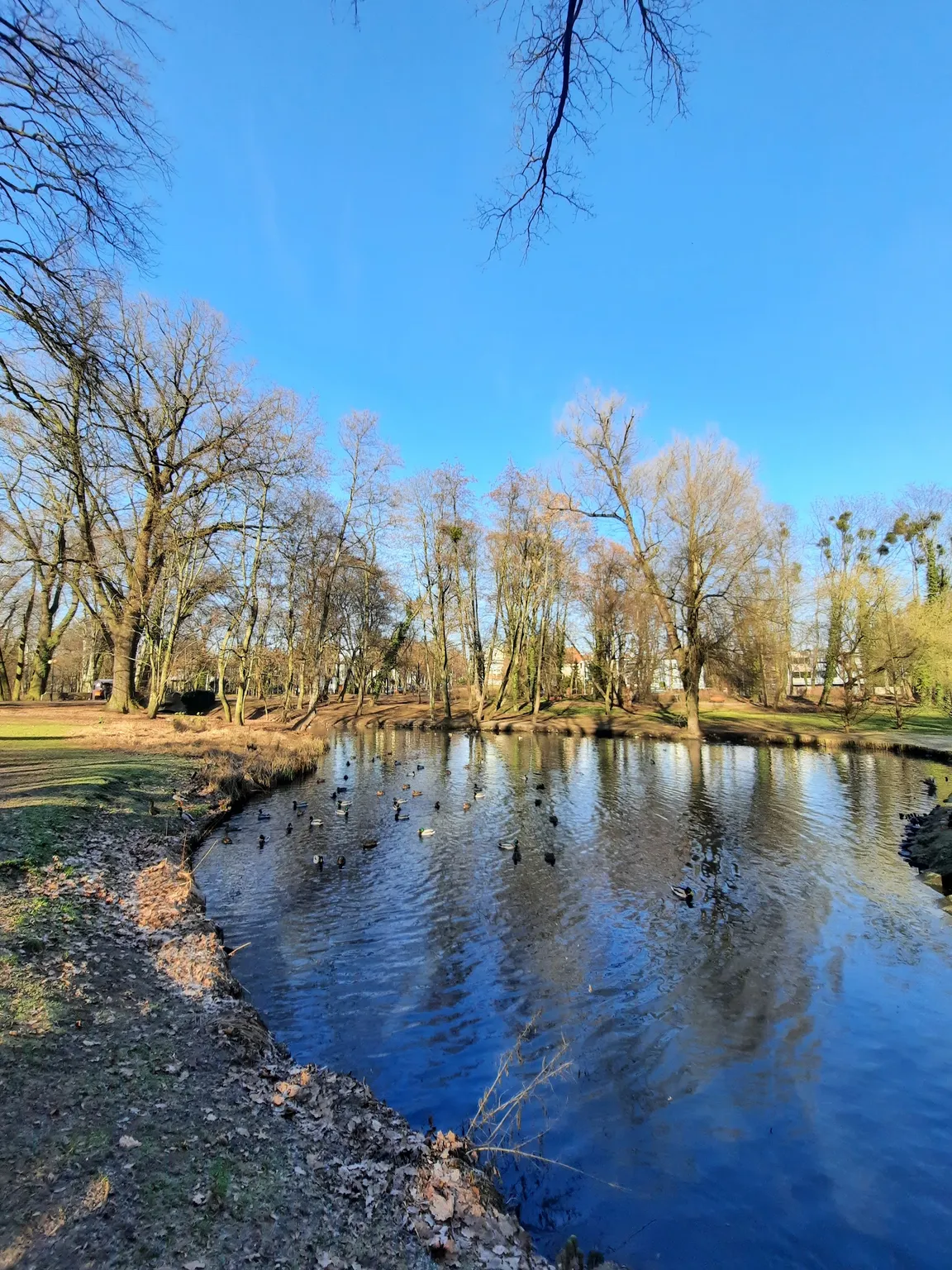 Park Sołacki