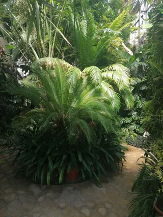 University Botanical Garden