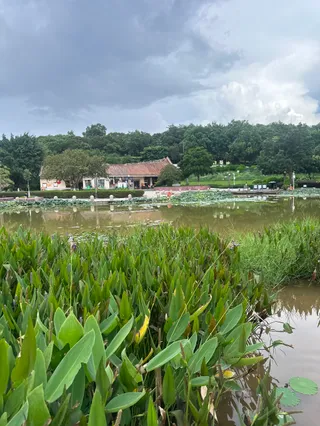 Chengbei Park